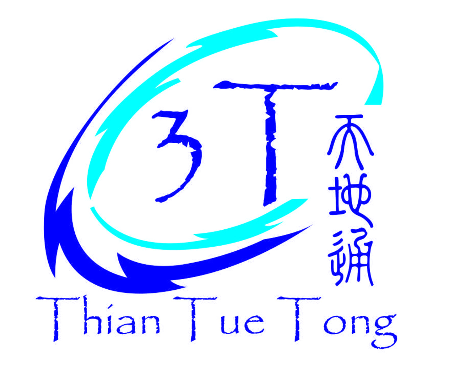 3T Accessories